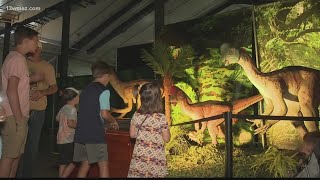 Georgia National Fairgrounds hosts dinosaur adventure exhibit for families