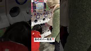 いつの間にか徳之島のオバー見つけておてて繋いでた😁珊瑚は、トーマス言うてるのにアンパンマンって言うよねー爆