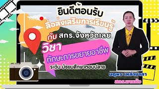 รายวิชาทักษะการขยายอาชีพ | (อช31002) | มัธยมศึกษาตอนปลาย | หลักสูตร กศน. 2551