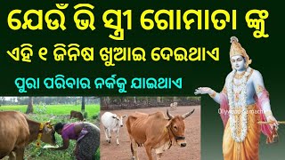 ଯେଉଁ ସ୍ତ୍ରୀ ଗୋମାତା ଙ୍କୁ ଖୁଆଇଦେଇଥାଏ ଏହି ଗୋଟିଏ ଜିନିଷ ତାର ପୁରା ପରିବାର ନର୍କକୁ ଯାଇଥାଏ //