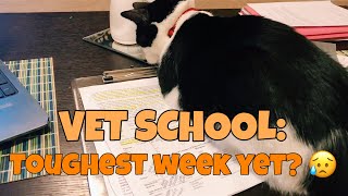 WEEK IN VET SCHOOL | Toughest Week Yet??