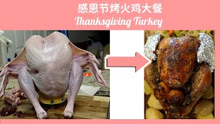 一只美味烤鸡Turkey的成长史|2020感恩节特辑