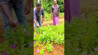 Haritha bio park seeds