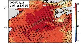 2024年8月26日までの黒潮「短期」予測 番外 沖縄・鹿児島・東シナ海・日本海南部周辺