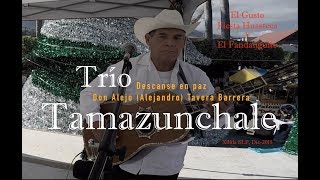 Trío Tamazunchale -  El Gusto, Fiesta Huasteca y el Fandanguito