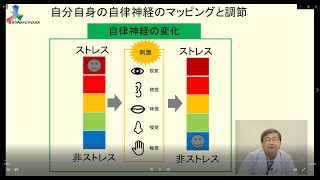 自律神経の世界　第2弾　中級編！～交感神経とストレス～