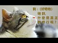 音樂與心靈的對話，《fix you》是一首充滿情感和勉勵的歌曲，描述了一個人在困難和痛苦中尋求力量和庇護的心境。歌曲以柔和鋼琴旋律開始，逐漸激昂並加入強烈的吉他和鼓聲，營造出一種情感高潮和壯麗的氛圍。