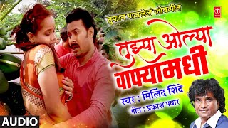 Tujhya Olya Wafyamadhi (Audio) | तुझ्या ओल्या वाफ्यामधी | Milind Shinde | Lokgeet | Masti Song