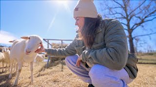 Checking up on the farm (\u0026 Choosing Sustainability) | VLOG