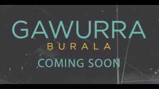 Gawurra | Burala (Diving Duck) Preview