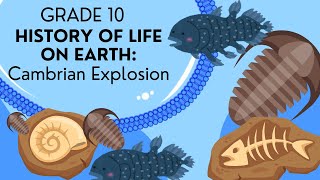 INTRO to The Cambrian explosion | EASY to understand