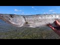 Topwater Barracuda Fishing in the Florida Keys