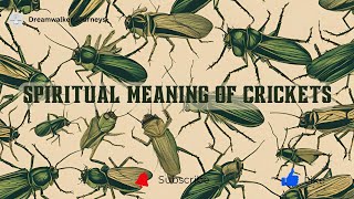 Spiritual Meaning of Crickets | Cricket Spiritual Meaning