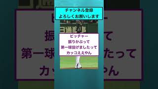 ワインドアップってなんの意味があるん？【なんJまとめ プロ野球】