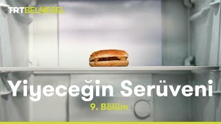 Yiyeceğin Serüveni | Dondurulmuş Gıdalar | TRT Belgesel