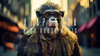 Atapuerca - Señor B (Organic House, Downtempo, Afro House, Chill, Ambient Music)  [Original Theme]