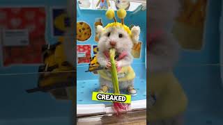 The Great Hamster Escape #ytshort #shorts #youtubeshorts #pets #cuteanimal