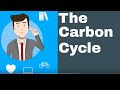 Explain the Carbon Cycle