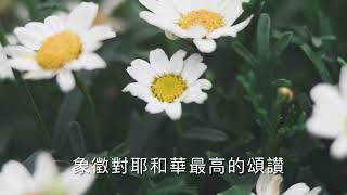 哈利路亞 Alleluia 雲合唱 美國飛揚合唱團￼