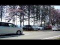 静内二十間道路桜並木