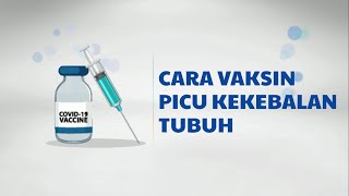 VAKSIN PICU KEKEBALAN TUBUH