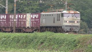 貨物列車　日本海縦貫線　EF510-501牽引3095ﾚ\u0026EF510-509牽引4076ﾚ　2017/10/01