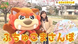 まるごと府中2017年3月21日～31日放映分