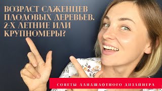 Возраст саженцев плодовых деревьев + КНИГА в ПОДАРОК! ссылка на книгу в описании под видео.