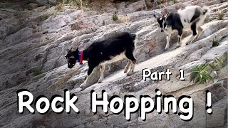 2024-3-22 Rock Hopping with Goats - Part 1