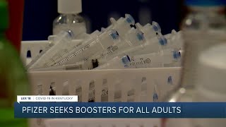 Pfizer seeks boosters for all adults