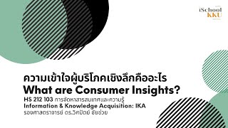 ความเข้าใจผู้บริโภคเชิงลึกคืออะไร (What are Consumer Insights?)