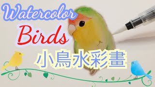 Watercolor Birds Painting Tutorial🐦 小鳥水彩畫教學🦜 鳥の水彩画