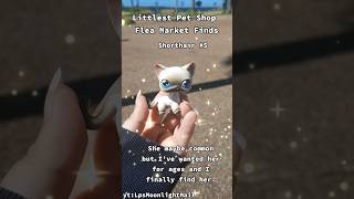 Littlest Pet Shop: $1 Market Finds - LpsMoonlightMail