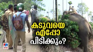 ദൗത്യം ആരംഭിച്ചിട്ട് ഒരാഴ്ച; നരഭോജി കടുവയെ ഇതുവരെ പിടികൂടാനായില്ല | Wayanad Tiger