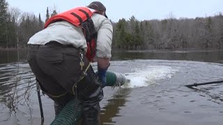 Salmon stocking in northern Maine