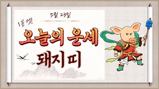 (1분컷) 2023년 5월 23일 돼지띠 오늘의 운세