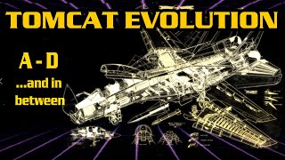 The Tomcat's Evolution ...And Why It Was Retired