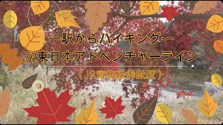 「駅からハイキング」紅葉の御岳渓谷散策