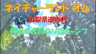 山梨県道志村 ネイチャーランド オム 2021/6/20～6/21