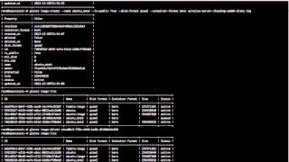 Openstack CLI Basics