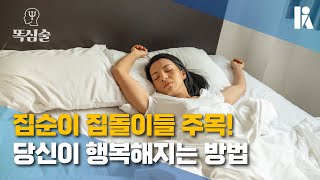 [똑심술] 집순이 집돌이들이 더 행복할 수 있는 방법 | 한국심리학회 KPA