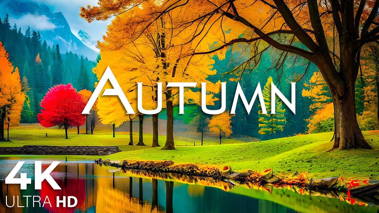 Enchanting Autumn Forests With Beautiful Piano Musicрџќѓ4k Autumn Ambience