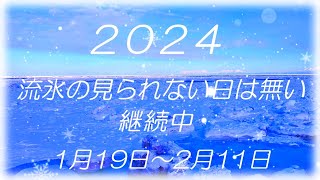 2024,2,11 先月の流氷初日 19日から今日まで流氷が見られない日は御座いません❗いつまで続くのか❓観光客は大喜び❗