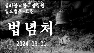 일요법문(법념처)2024.09.01