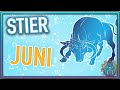 STIER Juni 2024 - Plötzliches Ende ‼️ | Orakel | Tarot |