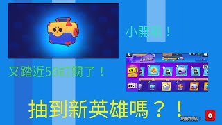 【荒野亂鬥】小開箱？抽到新英雄嗎？？！？？想看就點進來吧