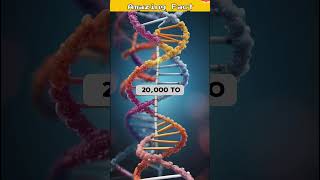 Decoding the Complexity of the Human Genome: Unraveling the Secrets Within #trending #shorts #viral
