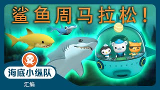 海底小纵队 - 🦈 鲨鱼周马拉松! 🤿 | ⏱️ 1小时+汇编 | 集完整版