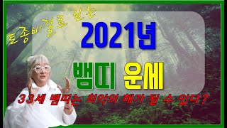 2021년 뱀띠 운세!! 최악의 살이 들어왔다?! [백운산 신전]