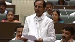 Telangana will start two fishery universities: Telangana Chief Minister - ANI News